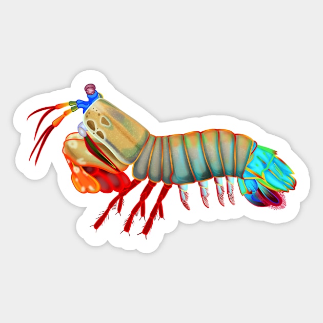 Peacock Mantis Shrimp Sticker by lqmaple